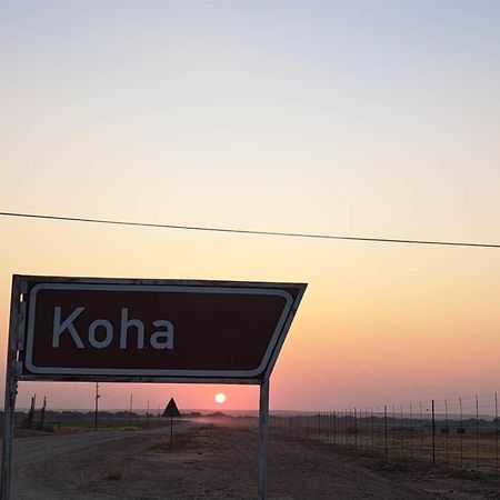Koha Guesthouse Mariental Dış mekan fotoğraf
