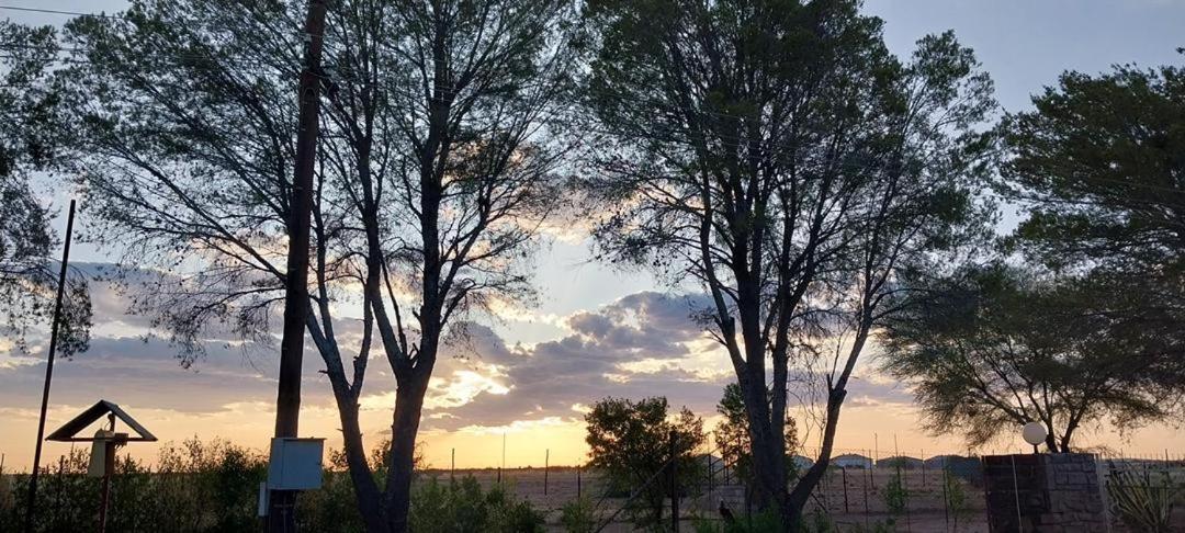 Koha Guesthouse Mariental Dış mekan fotoğraf