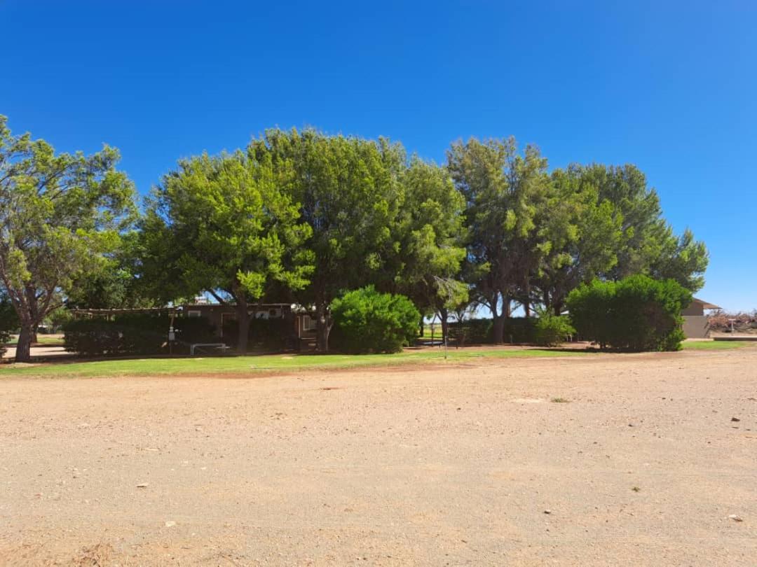 Koha Guesthouse Mariental Dış mekan fotoğraf