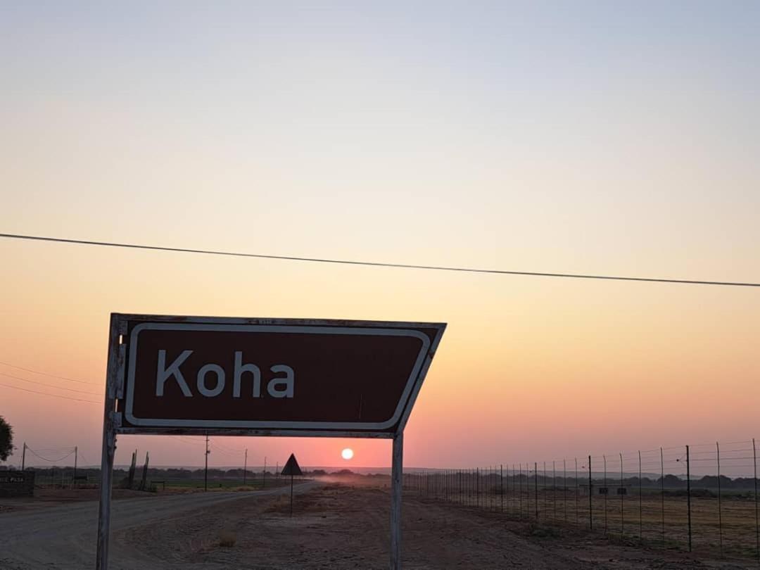 Koha Guesthouse Mariental Dış mekan fotoğraf
