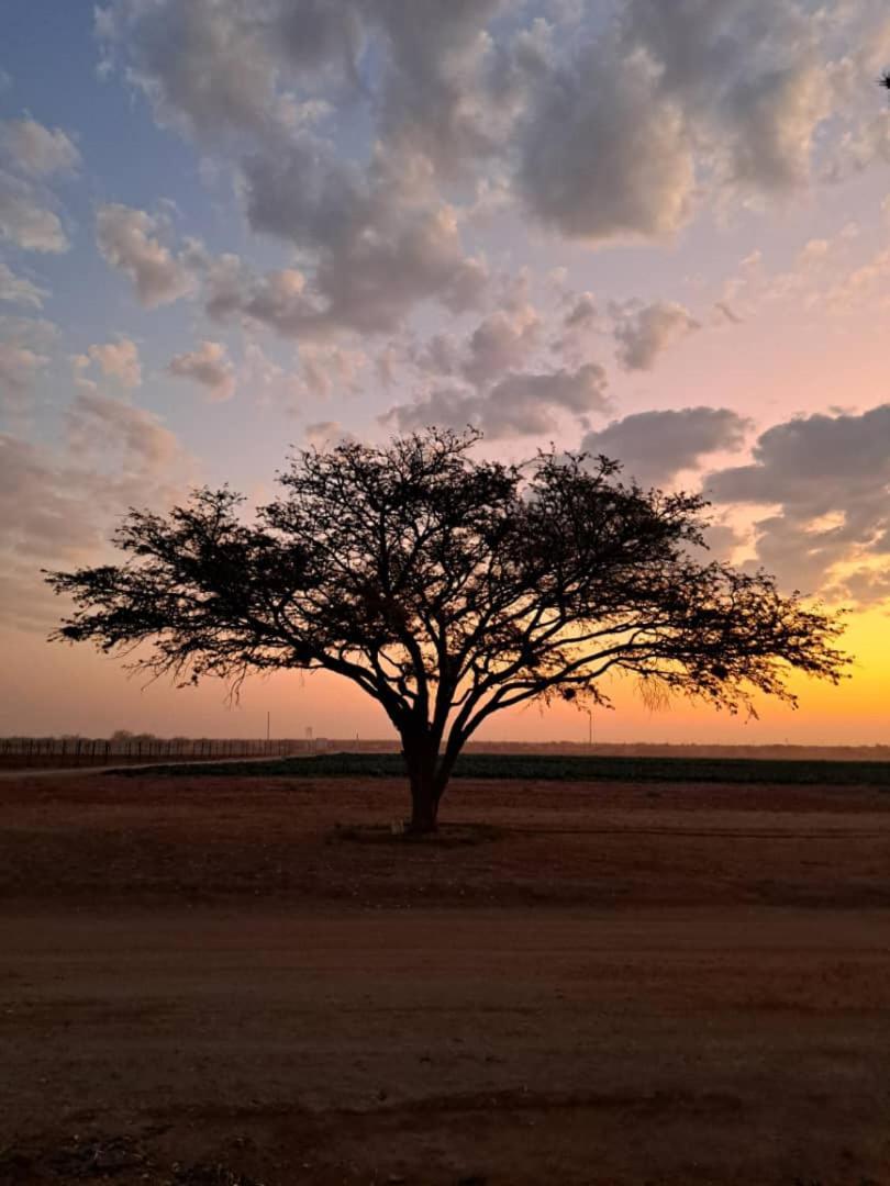 Koha Guesthouse Mariental Dış mekan fotoğraf