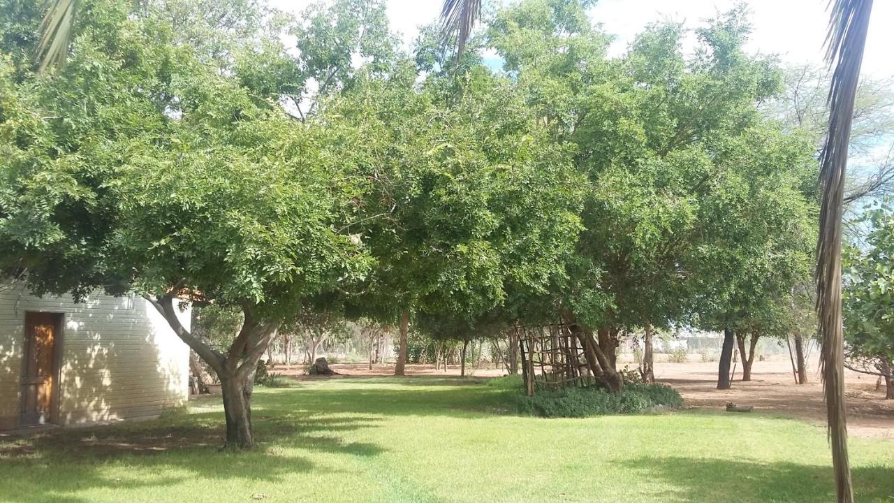 Koha Guesthouse Mariental Dış mekan fotoğraf